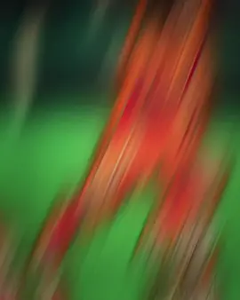 انطيني حارس مامسجل عليه ميسي 🧡🔥 #المصمم_كاربون #تيم_مصممين_الرافدين💎 #تيم_مصممين_العرب💎 #تيم_ملوك_العالم #فيديو_ستار🚸🔥 #تصميم_فيديوهات🎶🎤🎬 #تيم_مصممين_المستديره💎 #ميسي🇦🇷 #تيم_حمودي_ديباي🍋 #foryou #fypシ #تيم_fbi⚡ 