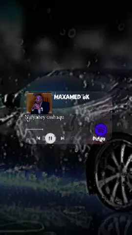 Nafyahey cashaqu ka galo#spotifywrapped #viewsproblem #jawi_bila🌊❤️🌴 #ziizeylyrics🕊️ #foryoupage #fypシ゚ #fyppppppppppppppppppppppp 