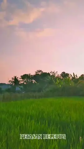 sing ka hade sing tiasa ngajaga lisan ucapan. #papatahsunda #storysunda #motivasi #pesawahan #pemandangan #alam 
