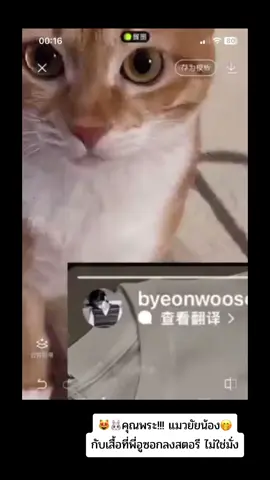 สมองฉันจะไหล 🫠🫠 พรหมเดียวกันเป๊ะ เสื้อที่พี่อูซอกวางถ่ายรูปลงสตอรีไปตรงกับ พรหมบ้านฮเยยุนที่ถ่ายรูปน้องแมว มันจะเป๊ะ หรือบังเอิญอะไรขนาดนั่น!!!! นี่มันยิ่งกว่าโคนันแล้ว #LovelyRunner #คิมฮเยยุน #KimHyeYoon #ByeonWooSeok #บยอนอูซอก 