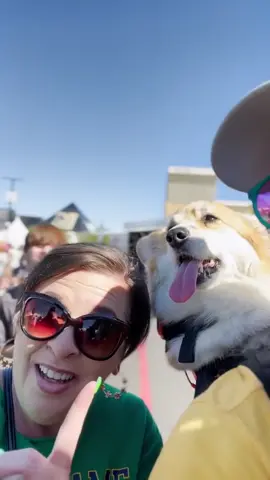 HI LEANN #dogsoftiktok #funnydog #corgi 