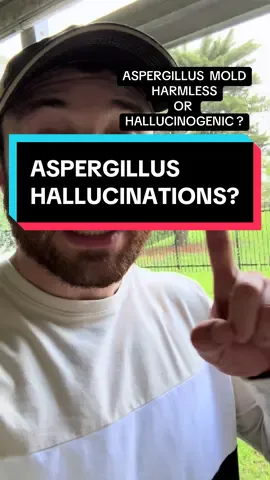 Mold Hallucinations 😵‍💫 @Mold Testing  The explanation for ghost stories? 👻🏚️ #Aspergillus #Aspergillosis #Aspergilloma #Fungi #Fungus #MoldTesting #Haunted @thedetoxdoc 