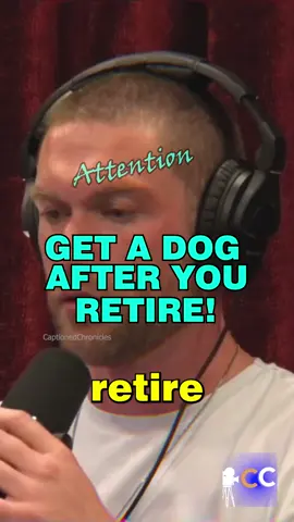 GET A DOG WHEN YOU RETIRE🐶 #dog #healthy #jre #retire #job #puppy #pet #animals #viral #fyp