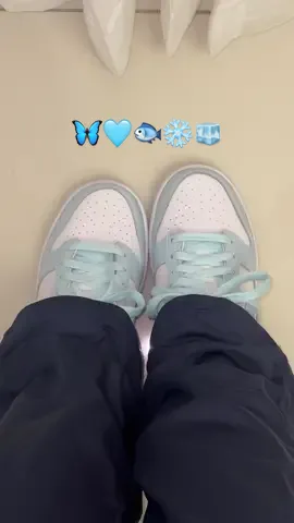 #dunks #nike #fypage #paratii 