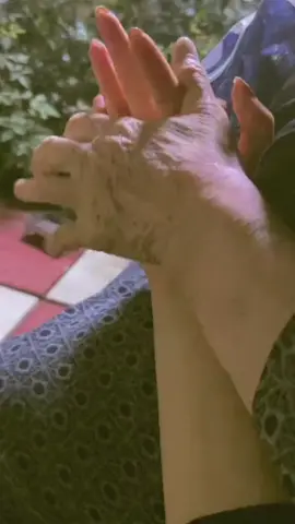 #وين #امي #دللتني #🥺💔  #ديتو #معا #امي #هشتاقاتي_الترند_المشهور #هشتاق 