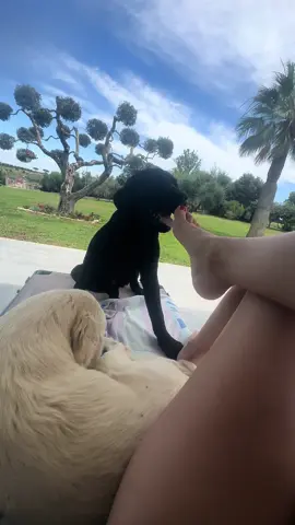 Un piedi lover  #puppy #feet #Love #viral 