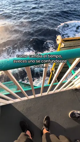 Ñengo eres mi padre🙇🏽‍♂️