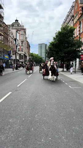 the step 😍 #fyp #horse #trottinghorse #foryou #horsedrive #london #horsesoftiktok #viral #londonhorsedrive #horseandcart #horsetok #cob #equestrian #equine #fy #horsesontiktok #stallion #steppingcob #mare 