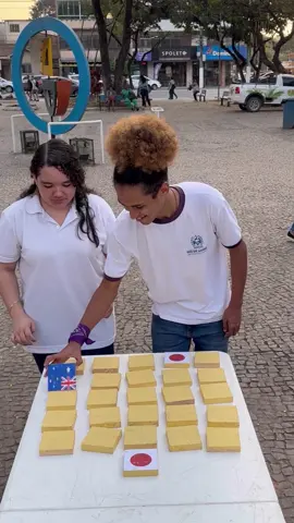 Jogo da memória com bandeiras #desafio #brincadeira #bandeira #paise #jogo #game #desafiotiktok #brincadeiras 
