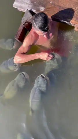 #valdemir  encantador de peixes gigante 