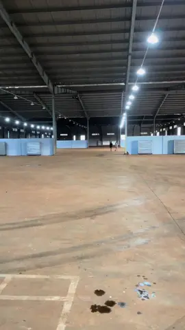 Một khởi đầu mới một thành công mới❤️#sauriengvietnam #miềntay #sauriengcaibe #saurieng #sauriengthai 