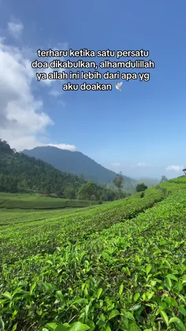 alhamdulillah masyaaAllah tabarakallah yaAllah🥹🥹😇😇