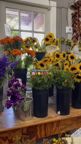 #flowers #roses #lovelanguage 