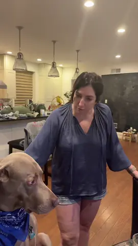 Iconic #fyp #dogs #dogsoftiktok #cutedogs #cutedogsonly #dogsoftiktok #dogtok #doggo #foryoupage #cooking 