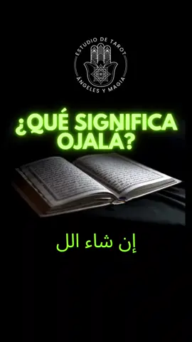 Alguna vez te has preguntado de dónde viene la palabra 