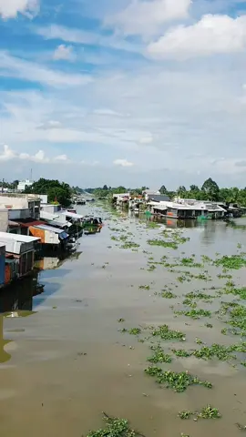 Quê hương là gì mà ai cũng nhớ... #xuhuongtiktok #xuhuong #xh #quehuong #songnuoc #mientay #canhque #canhdep #haugiang 