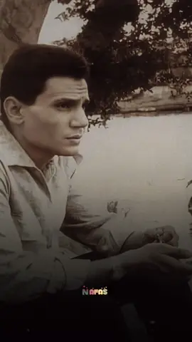 لحد عينيك ماقابلوني نسيت روحي وتاه عقلي ❤️ #عبدالحليم_حافظ #ظلموه #العندليب_الاسمر_عبدالحليم_حافظ #العندليب #زمان #قديم #ابيض_واسود  #CapCut  #اغاني #اغاني_عربيه #Sing_Oldies #اغاني_حب #ابيض_واسود #زمان #زمن_الطيبين #زمن_الفن_الجميل #قديم #تصميمي #تصميم_فيديوهات🎶🎤🎬 #جوري🥀✨ #نفس❤️✨ #تيك_توك #ترند #fyp #foryou #foryoupage #fypシ゚viral #viral #viralvideo #oldsong  #viraltiktok #tiktok #trending #old #oldisgold 