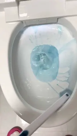 Bộ cọ chổi nhà vệ sinh bồn cầu dùng 1 lần siêu tiện lợi #dodadungtainha #boconhavesinh 