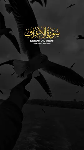 Surah Al Araf, Surah Ar-Rahman.🤍🥺🥀 اور جن کو تم اللہ کے سوا پکارتے ہو۔  #islamicsound #islamicstatus #viral #tiktok #mostviralvideo #goviral #foryou #islam #trend #foryoupage #trending #quranrecitation #viraltiktok #quran #translate 