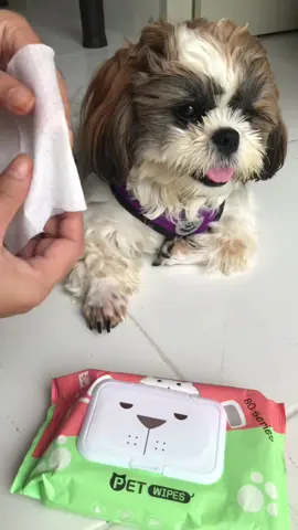 #petwipes #petwipesfordogandcat #petwipes 