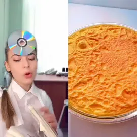 #pov#fyp#foryou#funny#❤️😂#acting#skit#tiktok#viral