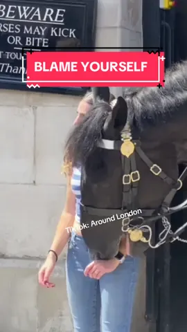 DISRESPECTFUL Tourists!! BLAME YOURSELF FOR THIS.  #horseguardsparade #changingoftheguards #thekingsguards #horse #foryoupage #tiktokviral #tiktokbeta #fyp #foryou #fypシ #fanpage #tourists #London #trending #tiktokuk #London#trending #follow #subscribe #like #share #blame #disrespectful 