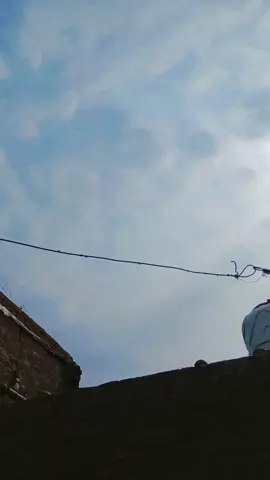 Piya Jogiya Mera😍#fyp #foryou #foryoupage #tiktok ##