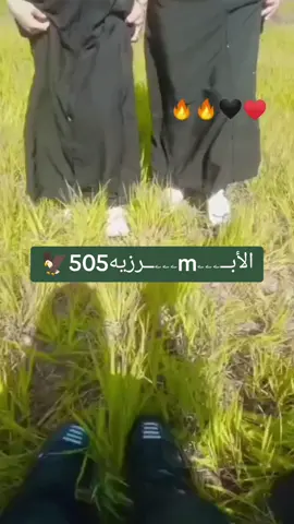 #الشعيطات_ابوحمام_الڪشكيه_غـرانيـج #💃💃💃💃💃💃🌈🌈🌈🌈 
