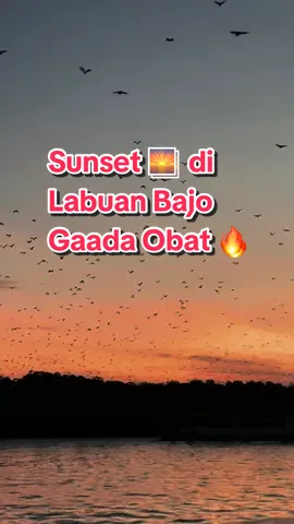Minimal 1x seumur hidup harus sunset-an di Labuan Bajo 😍#CapCut #sunset #labuanbajoindonesia #labuanbajo #wonderfulindonesia 