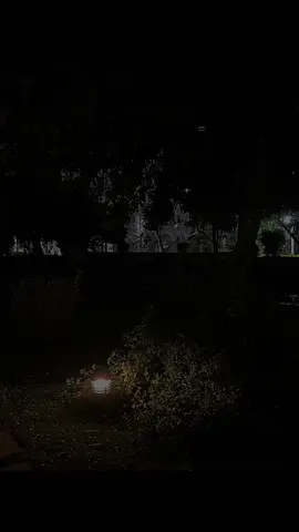 #امال_ماهر  انا_الوحيده  انا_ اللي _جوايا _ليك_ بدل_ الشوق_ الف شوق ❤️