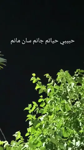 #حبيبي حياتم جانم سان مانم 🖤مجرد __________ذوق 💚 بنت الجبور 🤎الجبور وعز الجبور 💜جبوريه وافتخر 🩷الشعب الصيني ماله حل 😂