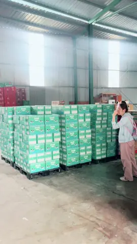 Hàng về cập bến