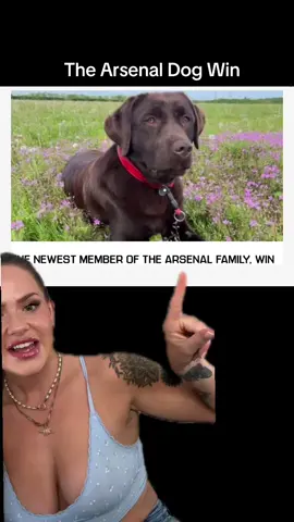 The arsenal dog win is my favourite addition to the team, i NEED some transfer news soon though!!