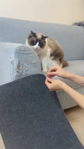 #catscratcher #sofacover #scratchboard #catsupplies #cat #catsoftiktok #PetsOfTikTok #catlover #fyp #furniture #homedecor 