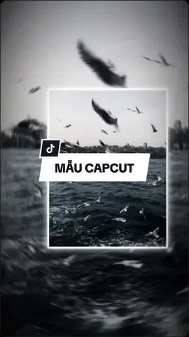 #CapCut Đoạn Cuối Bạc Phận#xuhuong #xuhuongtiktok #maucapcut #capcut_edit 