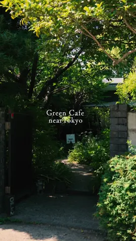思い出に残る、ジブリの世界のような隠れ家カフェ☕️ 📍cafe kaeru 鎌倉駅の駅前はいつも人が混んでいますが、奥鎌倉はそんな喧騒とは無縁の落ち着いた雰囲気。 駅からバスで10分で少し離れていることもあり、休日でもあまり人がいない😳 この日も連休真っ只中だったのですが、待たずに座れました。 外観は、知らなかったら通り過ぎるような、普通の一軒家です。笑　 エントランスをくぐると、緑あふれる中庭に圧倒されます。 圧倒的隠れ家感。。。 店に入ると窓の外や天窓に木漏れ日が広がります。とにかく癒されて仕事の悩みなんてぶっ飛びます笑 店主が丁寧に入れてくれる珈琲やカフェオレが美味しい。自家製のプリンもいただきました。 店名のように、店内にはかわいいカエルの置物がたくさん置いてあって、色々探してみるのもいいかも。 鎌倉って人が多すぎて嫌だ、、という方。こんな鎌倉もありますが、どうでしょう？😎✨ 営業時間やアクセスなどお店情報はコメント欄へ👉 インスタも見てね！ #東京カフェ #癒しカフェ#tokyocafe #도쿄카페 #東京咖啡店 