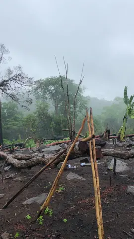 អ្នកចម្ការ🌧️🌾🥰