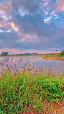 Vùng quê yên bình❤️#chill #foryoupage #relax #nhạcchill #sky #lake 
