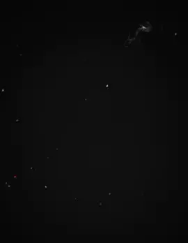 #CapCut 