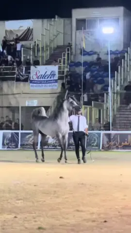#شهدان🖤🥇 #صاحب العشرينات #البطل الفضي🥈#حمدلله_دائما_وابدا🙏🏻 #فوريو_foryou♥️ #92/30