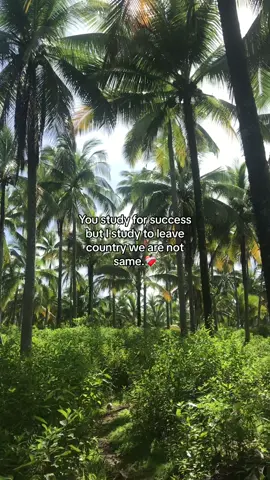 Are not thesame,/:/#fyp #foryouu #foryourepage #fyppppppppppppppppppppppp #viral #viralvideo #quotes #LearnOnTikTok #motivational 