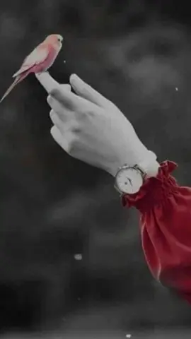 Tumhari sabse badi daulat na.. Tumhara waqt hain.... Jisse bhi dere ho na soch ke dena Kyuki yeh wapis nhi ata hain✨ #poetry #deeplines #shayri #trending #lines #status #BookTok #Love #viralvideo #statuswhatsapp #foryoupage❤️❤️ #advice #growmyaccount 