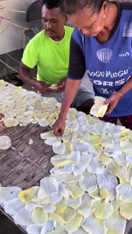 penjemuran keripik gadung #alhamdulilahfypシ #vidioviral #ypffffffffffffffffffffff #masyaallahtabarakkallah♥️ #bismilahrameシ #kerupukviral #gadung #keripikpi  