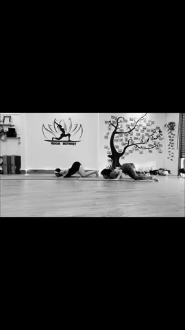 #yogabentre #yoganetviet #yoga #dance 