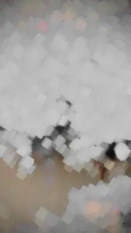 #kashmiry🔥 #foryou #trendingvideo 