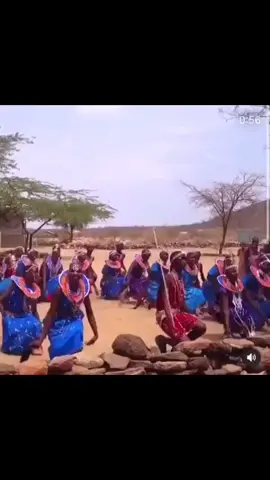 The Rich Tradition of Maasai Singing and Dancing @Authentic African  * Singing:*  - Structure: Maasai music consists of rhythmic harmonies by a chorus and a melody by song leaders called “olaranyani.”  - Call-and-Response: Songs follow a call-and-response pattern between the olaranyani and the group.  - Head Movements: Singers use distinctive head movements, creating an entrancing syncopated rhythm. * Traditional Dances:*  - Adumu (Jumping Dance): Warriors (morans) compete to jump as high as possible, often during important ceremonies like weddings and coming-of-age rituals.  - Eunoto Ceremony Dance: Part of the coming-of-age ceremony for warriors, lasting ten or more days with singing, dancing, and various rituals.  - Other Dances: Celebrations for occasions such as cattle blessings, weddings, and successful lion hunts. *Musical Accompaniment:*  - Vocal Focus: Maasai music is primarily vocal, with few instruments.  - Instruments: Greater Kudu horn summons warriors, beaded jewelry provides rhythm, and women sometimes wear bells or rattles. *Cultural Significance:*  - Deep Roots: Maasai dances and songs mark important life events, celebrate achievements, and maintain traditions.  - Showcase of Strength: Performances highlight the strength, agility, and bravery of Maasai warriors. * Captivating Experience:*   - The combination of rhythmic vocals, distinctive movements, and cultural significance creates a unique and powerful experience, mesmerizing visitors in Maasailand. #Maasai #CulturalHeritage #Singing #Dancing #Adumu #Eunoto #TIA #thisisafrica #TraditionalDances #RhythmicVocals #WarriorStrength #Maasailand
