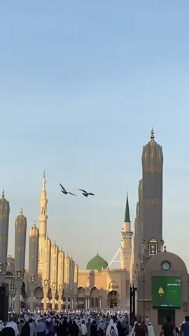 Yaa, Rosul. Kami datang#makkah #xybca #madinah #fyp 
