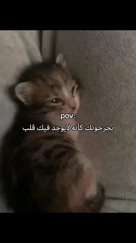 حسبي الله عليهم 💔😔#عبارات #حزن ##هواجيس #غصه #fyp #pov #sad 