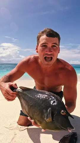 On an uninhabited island eating only what I catch! Follow for more 🔥 #survival #solo #fishinglife #fish #fyp #foryou 