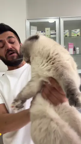 Sütlaçla yarı yarıya anlaştık gibi görünüyor😍
